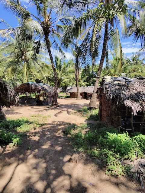 Village1