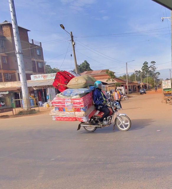 photo 5187 singular display fullPicture