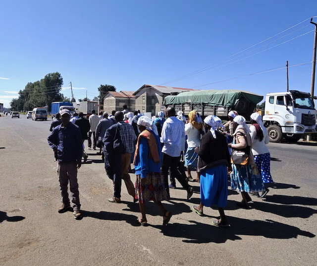 photo 5818 singular display fullPicture